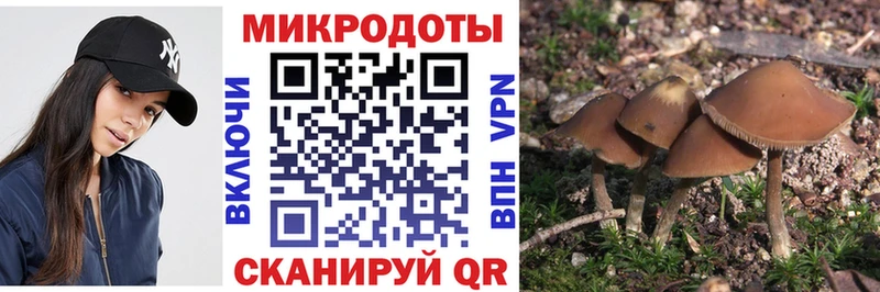 где продают наркотики  Берёзовка  Псилоцибиновые грибы мицелий 
