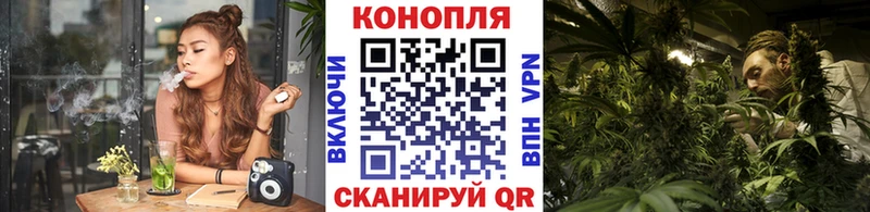 наркота  мориарти телеграм  Бошки марихуана THC 21%  Берёзовка 
